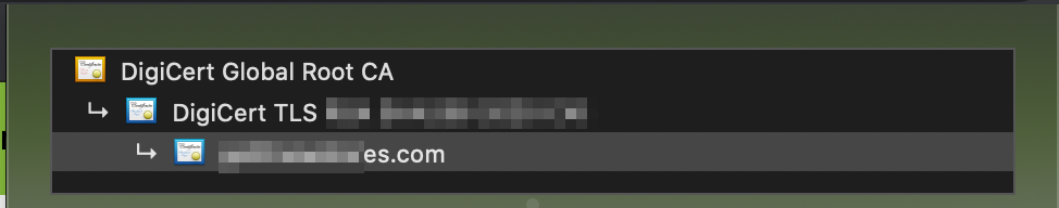 check the cert chain